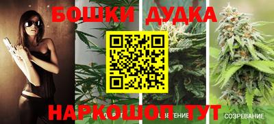 дживик Тулун