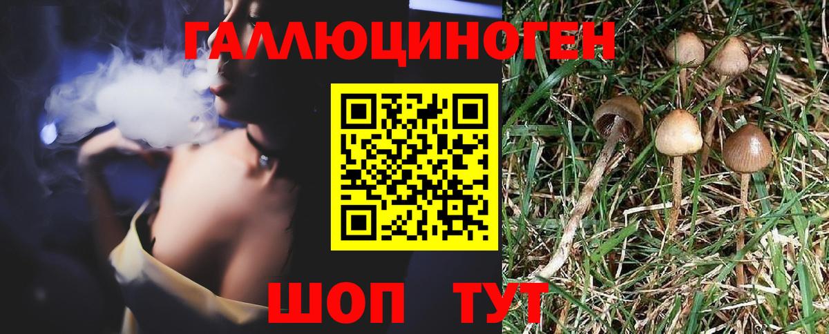 Псилоцибиновые грибы Psilocybe  Галлюциногенные грибы мухоморы  Вход с VPN  закладки  Луховицы 